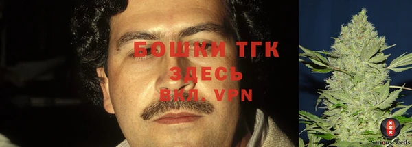 шишки Беломорск