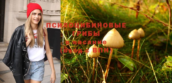 шишки Беломорск