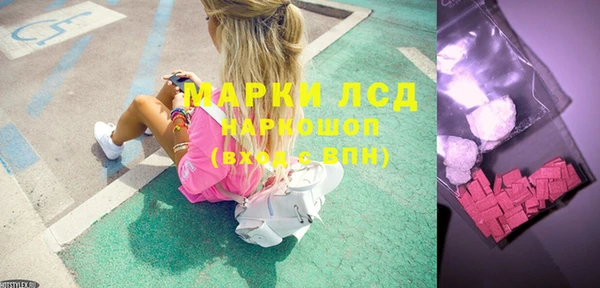 шишки Беломорск