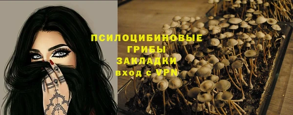 гидропоника Белоозёрский
