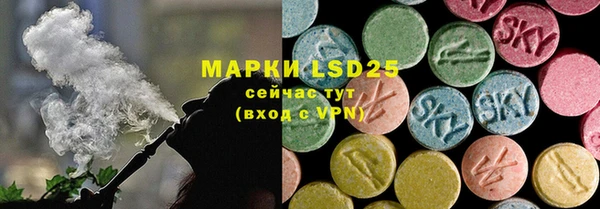 шишки Беломорск