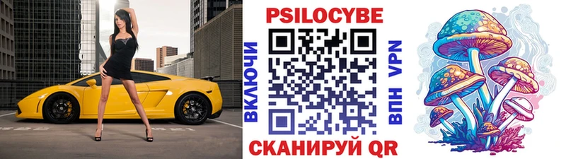Псилоцибиновые грибы мицелий  Славгород 