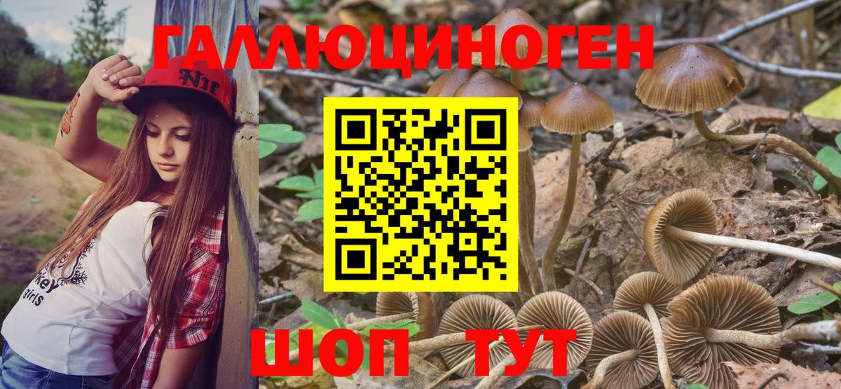 Галлюциногенные грибы Magic Shrooms Славгород